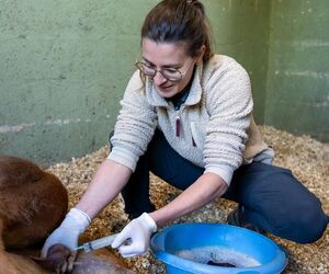 2025 04 17 Cabinet Vétérinaire Fléchet 12