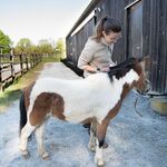 2025 04 17 Cabinet Vétérinaire Fléchet 5