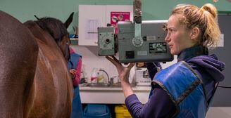 2025 04 17 Cabinet V%C3%A9t%C3%A9rinaire Fl%C3%A9chet 16