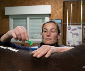 2025 04 17 Cabinet Vétérinaire Fléchet 17