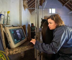 2025 04 17 Cabinet Vétérinaire Fléchet 2