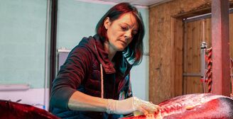 2025 04 17 Cabinet V%C3%A9t%C3%A9rinaire Fl%C3%A9chet 20