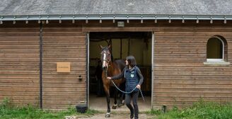 2025 04 17 Cabinet V%C3%A9t%C3%A9rinaire Fl%C3%A9chet 66